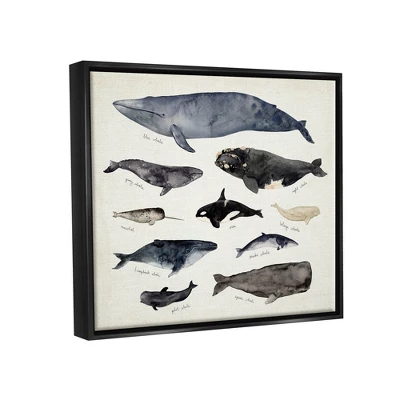 Stupell Industries Vintage Nautical Chart Of Whales Ocean Life 4 Stupell Industries Vintage Nautical Chart Of Whales Ocean Life - Image 2