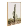 23" X 33" Sylvie Sunrise Cactus Framed Canvas By Amy Peterson Natural - Kate & Laurel All Things Decor -Home Decor Store GUEST 4ca6a513 fd8f 4826 81bd 30757e50bbe5