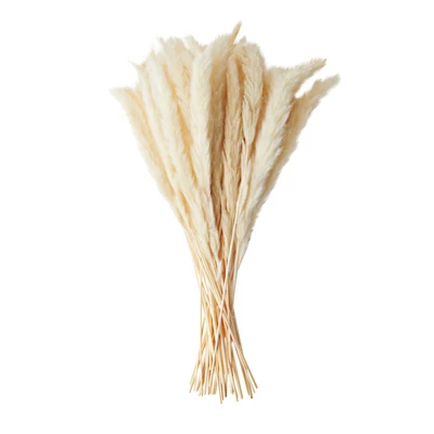 Farmlyn Creek 40 Pack Ivory Natural Dried Pampas Grass Branches With White Ceramic Vase, Plants For Home Decor, 16 In 7 Farmlyn Creek 40 Pack Ivory Natural Dried Pampas Grass Branches With White Ceramic Vase, Plants For Home Decor, 16 In - Image 5