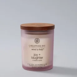 Glass Jar Candle Cranberry Dahlia - Chesapeake Bay Candle -Home Decor Store GUEST bd3dbf44 f1aa 4092 affc 755e5e876cf6