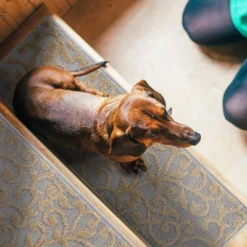 Sussexhome Leaves Collection Non-Slip Carpet Stair Treads For Wooden Steps, 9" X 28" 18 Sussexhome Leaves Collection Non-Slip Carpet Stair Treads For Wooden Steps, 9" X 28" -Home Decor Store GUEST dba92206 81aa 4302 b9cb a776de1d1fe0