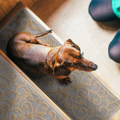 Sussexhome Leaves Collection Non-Slip Carpet Stair Treads For Wooden Steps, 9" X 28" 10 Sussexhome Leaves Collection Non-Slip Carpet Stair Treads For Wooden Steps, 9" X 28" - Image 8