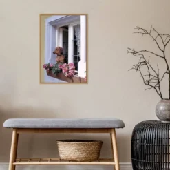 16" X 23" How Much Is That Dachshund In The Window? By Ric Ergenbright Danita Delimont Framed Canvas Wall Art - Amanti Art -Home Decor Store GUEST e3ee61b8 8dae 4be5 b4ce 65be6123e3f0